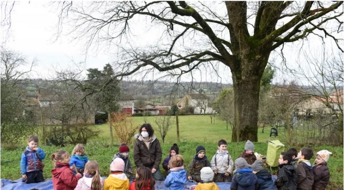 Radio – L’école dans la nature, l’école du futur ?