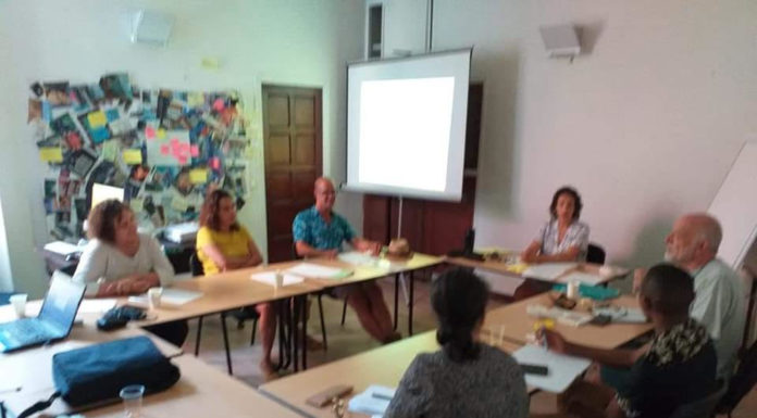 FORMATION : LA PRATIQUE PROFESSIONNELLE EN SITUATION TRANSCULTURELLE