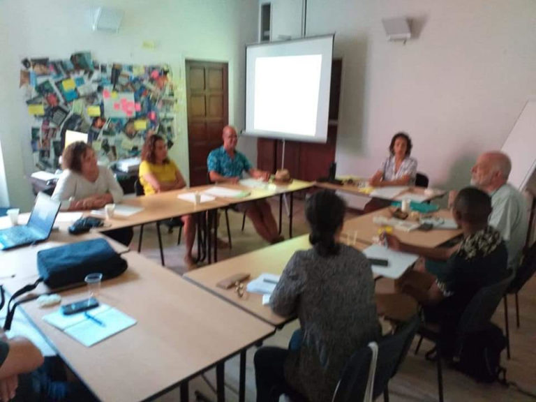 FORMATION : LA PRATIQUE PROFESSIONNELLE EN SITUATION TRANSCULTURELLE