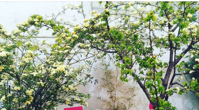 Pourquoi Tu Cries #17 – Au Planning Familial de Marseille