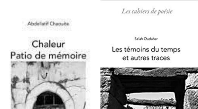 Pourquoi Tu Cries #18 – Langues et Mémoires avec Abdellatif Chaouite et Salah Oudahar