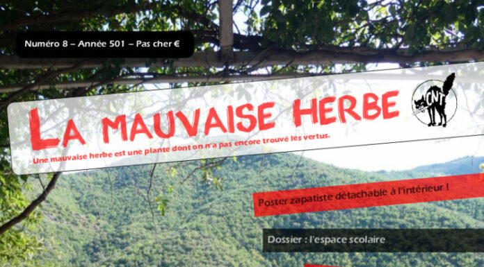 Revue – n°8 de La Mauvaise Herbe