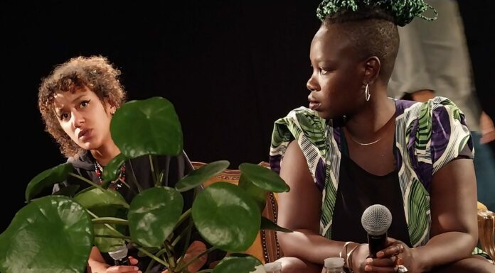 Pourquoi tu cries ? #27 – entretien avec Diaty Diallo et Fatou S.