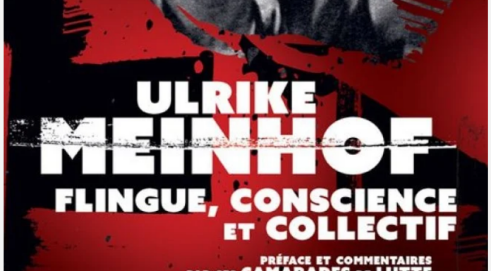 Livre – Flingue, conscience et collectif ULRIKE MEINHOF