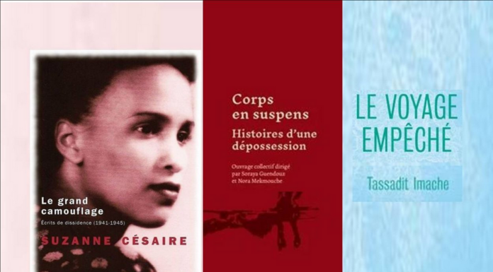 Entretien radio autour de l’ouvrage « Corps en suspens, histoire d’une dépossession »