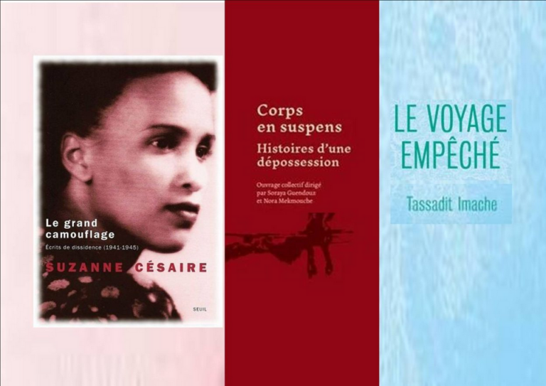 Entretien radio autour de l&rsquo;ouvrage « Corps en suspens, histoire d’une dépossession »