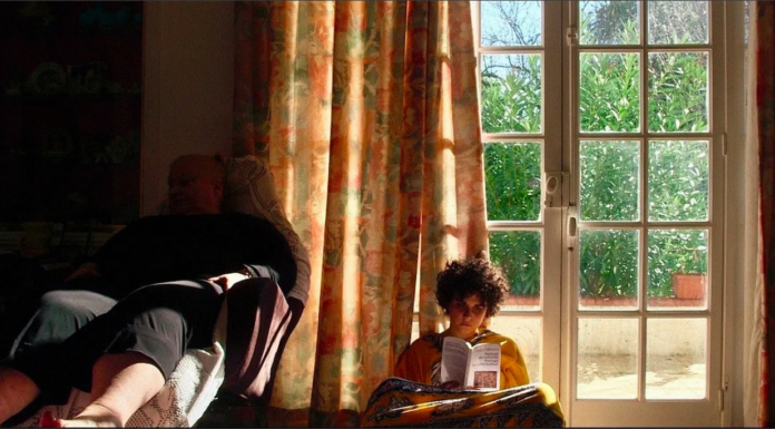 Cinéma – La terre est le ciel concret des exilés – cycle