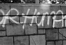 Article – La femme, le noir et le migrant