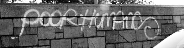 Article – La femme, le noir et le migrant