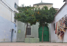 Rencontre « Anthropologie du Maghreb et études berbères en France »