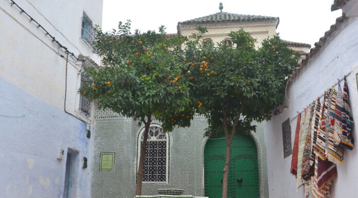 Rencontre « Anthropologie du Maghreb et études berbères en France »