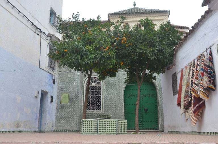 Rencontre « Anthropologie du Maghreb et études berbères en France »