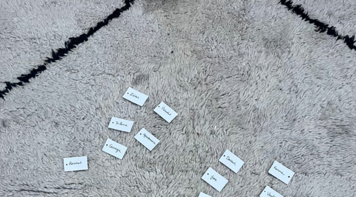 FORMATION A L’APPROCHE TRANSCULTURELLE