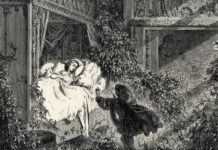 Article – Pédagogie critique avec les petit·es : stéréotypes de genre et contes de fée